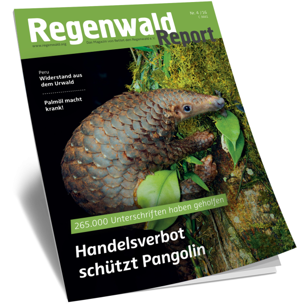Cover Regenwald Report 04/2016