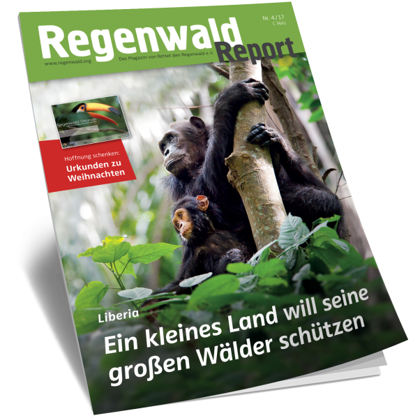Cover Regenwald Report 04/2017