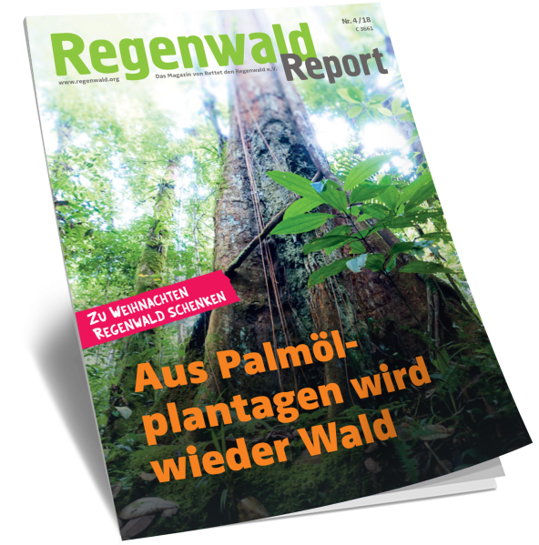 Titel Regenwald Report Nr.4 2018