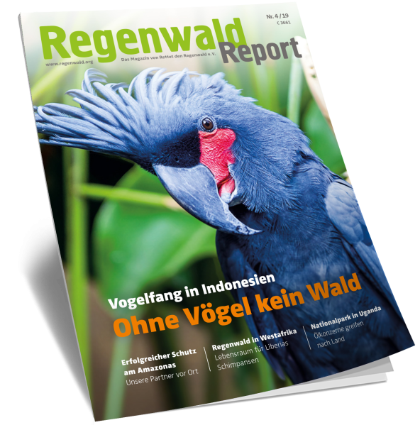 Cover Regenwald Report 04/2019