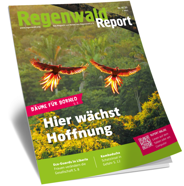 Cover Regenwald Report 04/2020