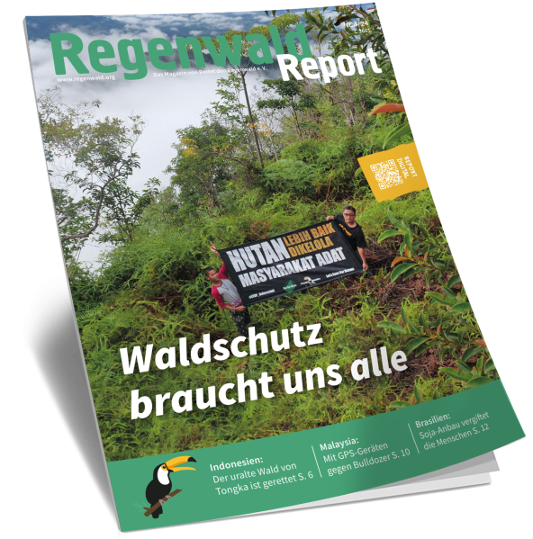 Titel Regenwald Report Nr.4 2024