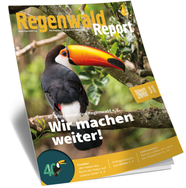 Cover 40 Jahre Rettet den Regenwald e.V.: Wir machen weiter!