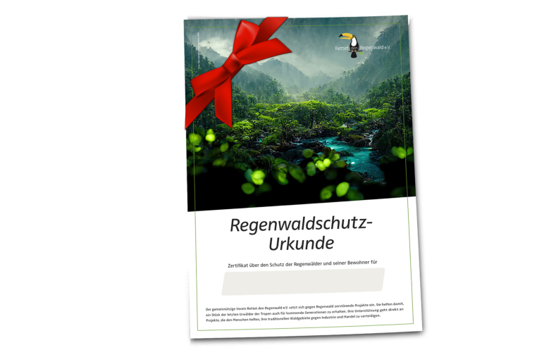 Regenwald Urkunde mit Schleife deutsch