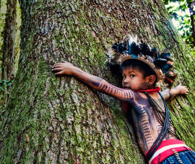 Ein am Körper bemaltes und mit Federschmuck ausgestattetes indigenes Kind umarmt einen riesigen Baumstamm