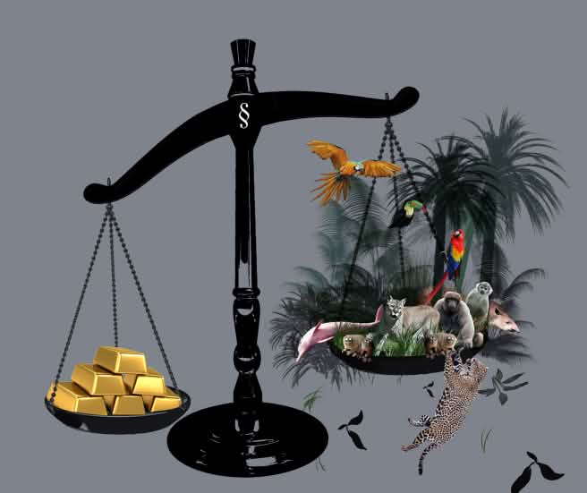 Waage mit Gold und Regenwald