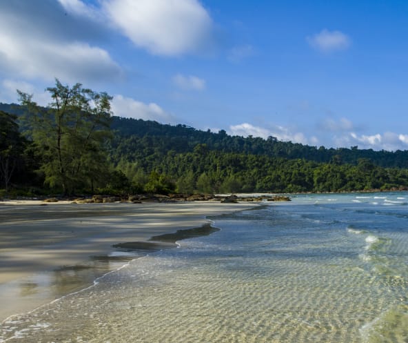 In einer Lagune überspülen Wellen einen Strand, im Hintergrund Wald