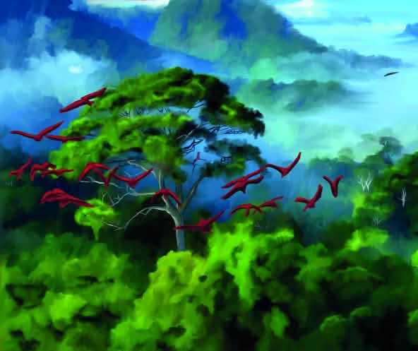 Illustration Regenwald