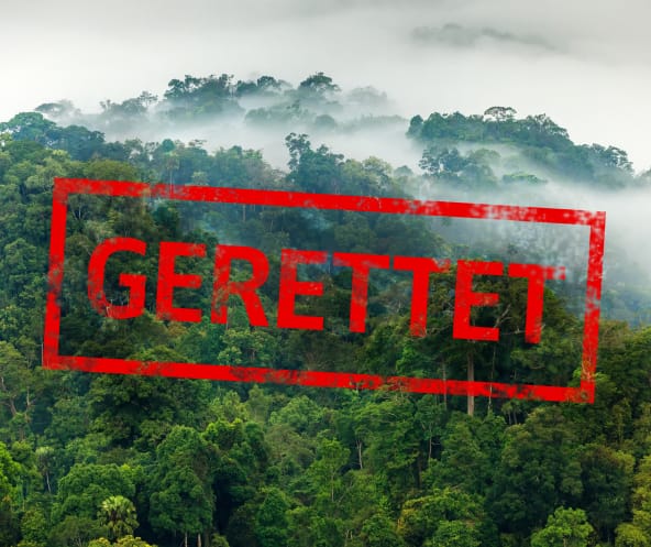 Wunderschöner Regenwald mit Text "GERETTET"