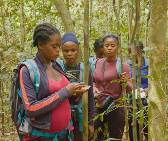 Eco-Guards im Regenwald in Liberia