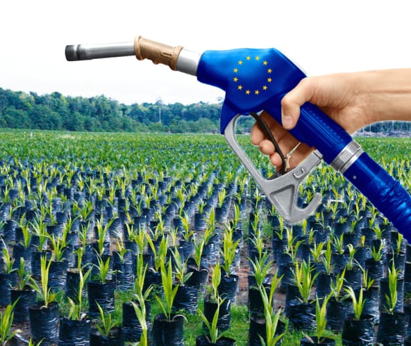 Palmöl Biosprit EU