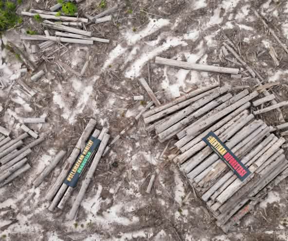 Holzstämme von oben, mit Bannern "Stopp Entwaldung", "Rettet Orang-Utan-Habitat"
