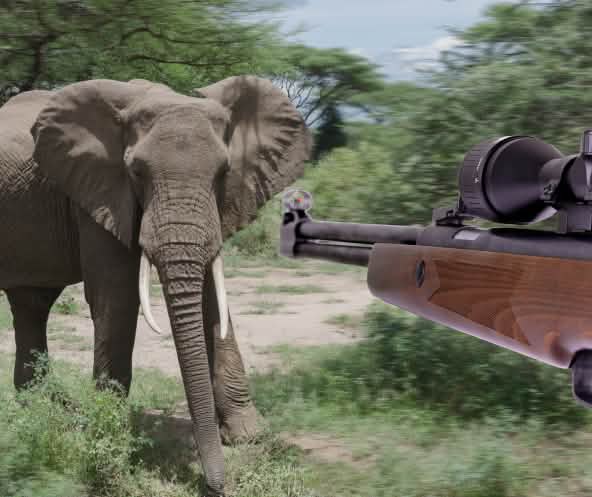 Bildmontage, bei der ein Jagdgewehr auf einen Afrikanischen Elefant zielt.