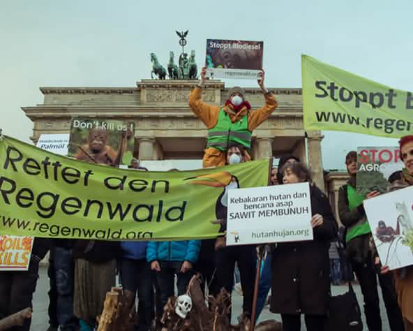 Demo Indonesien Rettet den Regenwald Berlin Brandenburger Tor