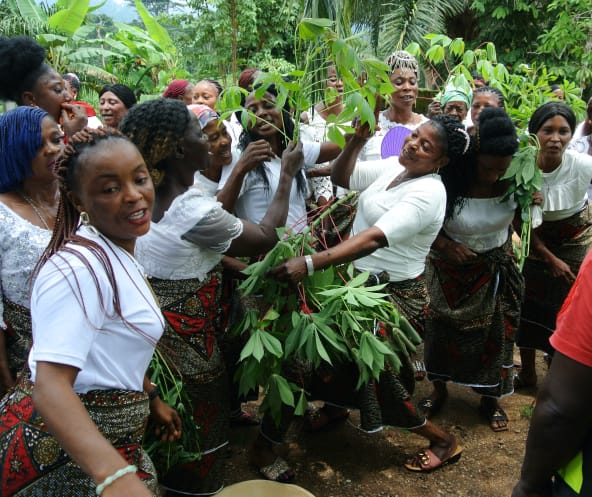 Frauen feiern das Kassava-Fest, Nigeria