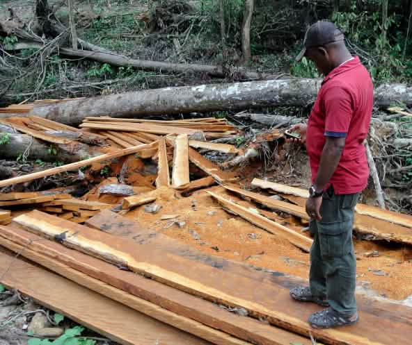 Martins Egot von der Ekuri Initiative