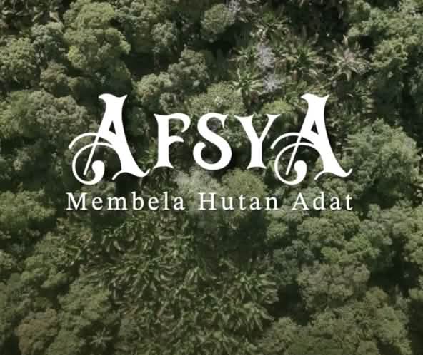 Blick auf Wald mit Filmtitel: Afsya Indigenenwald verteidigen