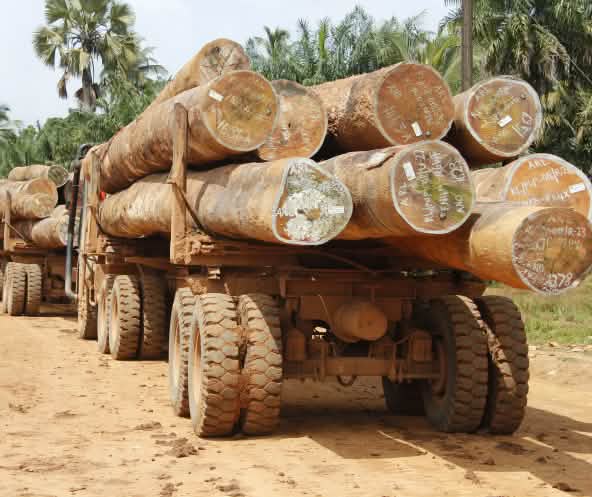 Mit Baumstämmen beladene Lastwagen in Liberia