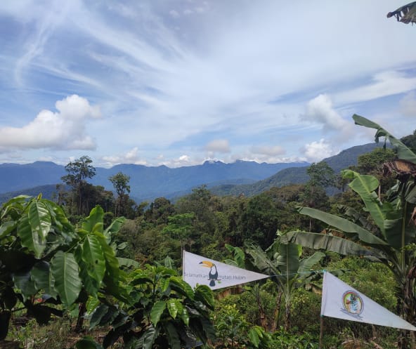 Baumschule der Indigenen Gayo von Pining im Leuser-Ökosystem