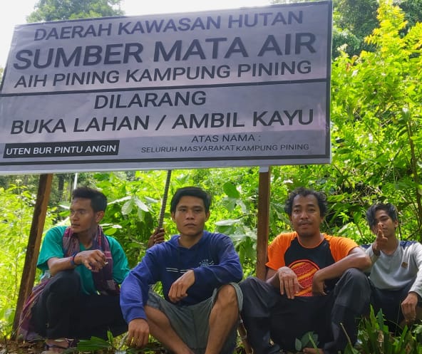 Indigene Harimau Pining