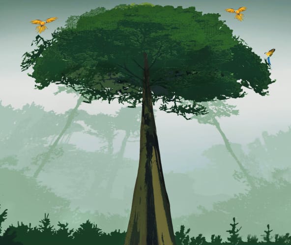Illustration Amazonien