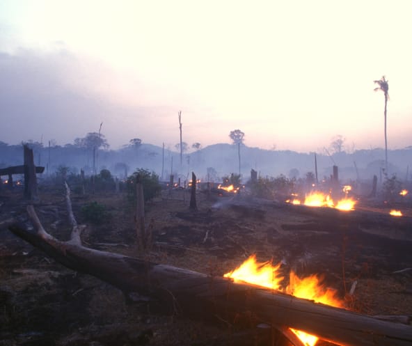 Brandrodung in Brasilien