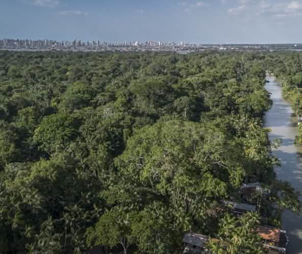 Belem Silhouette und Regenwald