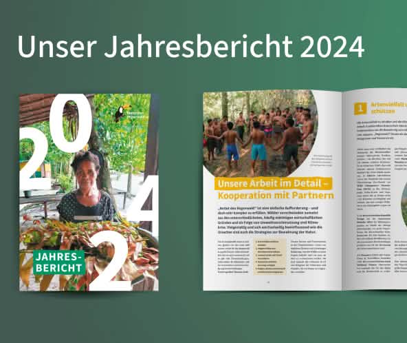 Mockup des Covers und einer Doppelseite des Jahresberichs 2024