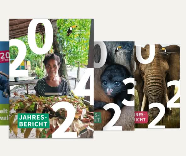 Jahresberichte Collage 2021 bis 2024 - DE