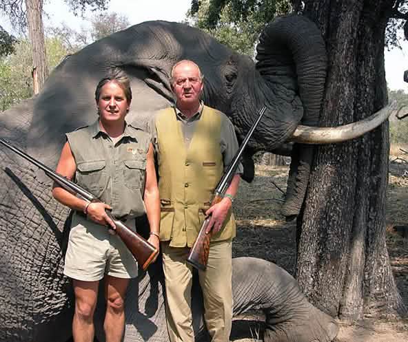Das spanische Staatsoberhaupt und damaliger WWF-Ehrenpräsident König Juna Carlos posiert mit seiner Jagdflinte vor einem toten Elefanten in Botswana