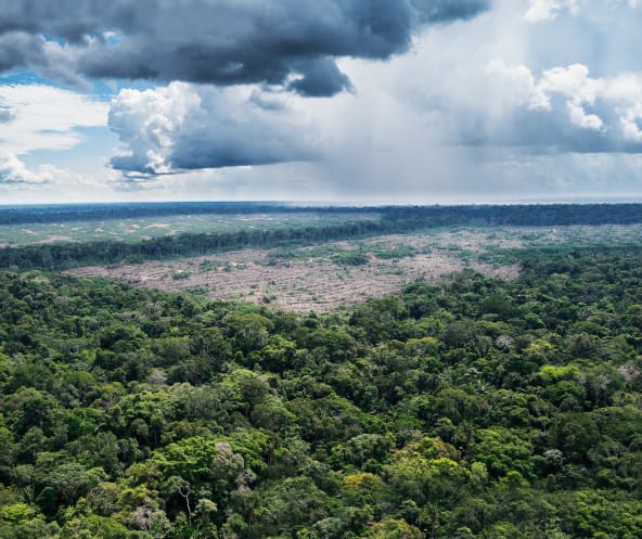 Luftaufnahme Urwälder in der Nähe des Amazonas-Dorfes Tamshiyacu in Peru