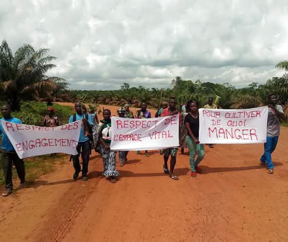 Demonstration gegen die Palmöl-Firma Socfin in Kamerun