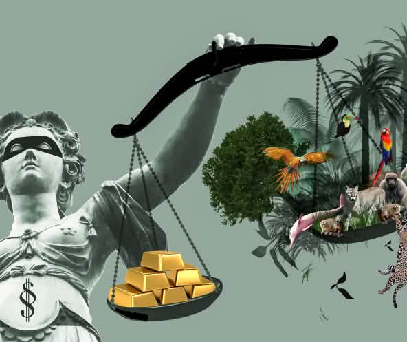 In Justicias Hand die Waagschalen mit Gold auf der einen und Regenwald auf der anderen Seite. Das Gold ist schwerer.