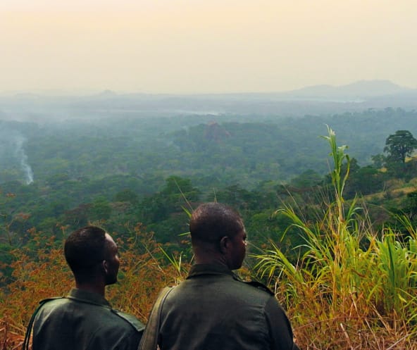 Aussicht Nigeria