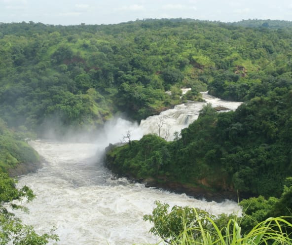 Ein weiß schäumender Wasserfall mitten im grünen Dschungel