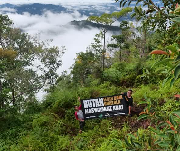 SOB-Plakat-Aktion zur Rettung des Regenwaldes auf Borneo