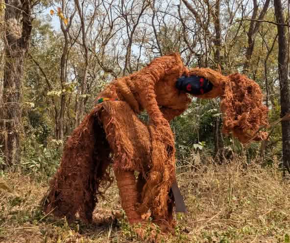 Waldgeist - Zeremonie, Guinea-Bissau