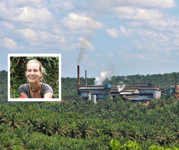 Collage: Maike Spengler + Palmölfabrik im Regenwald