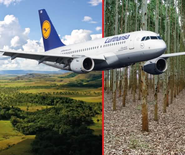 Collage zu Lufthansa und Klimaschutz