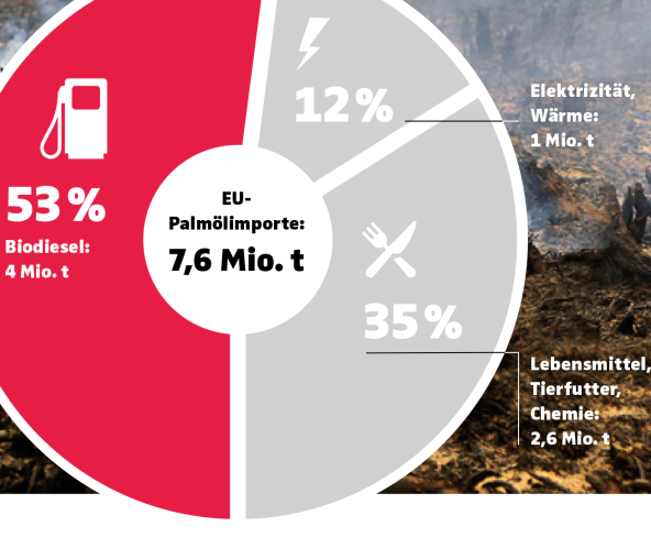 Grafik Palmöl in Report 3/19