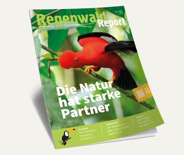 Titel Regenwald Report Nr.4 2025