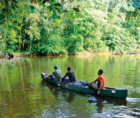 Fluss im Sapo-Nationalpark