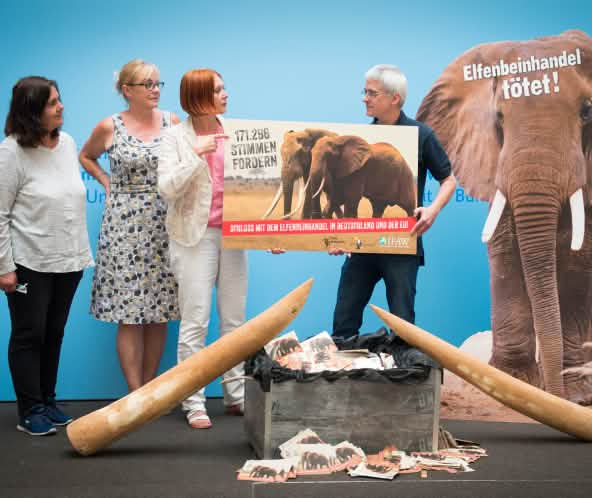 Übergabe der Petition gegen Elfenbein im Bundesumweltministerium