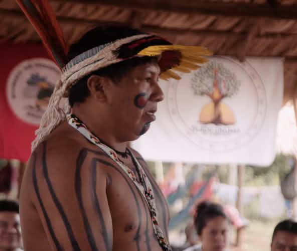 Ithau Ka'apor, Profil