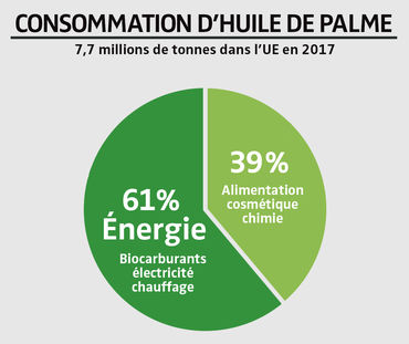 Diagramme de la consommation d’huile de palme dans l’Union européenne (UE) en 2017