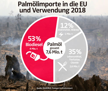 Palmölimporte in die EU und Verwendung 2018