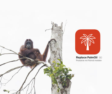 Collage: Orang-Utan in Baum + App Replace Palmöl