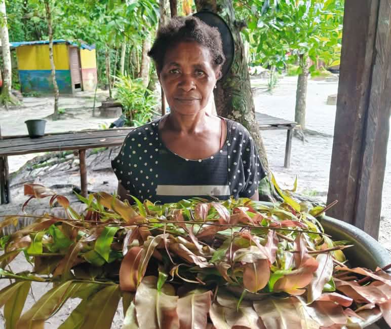 Frau mit Tablett voller Gemüseblätter