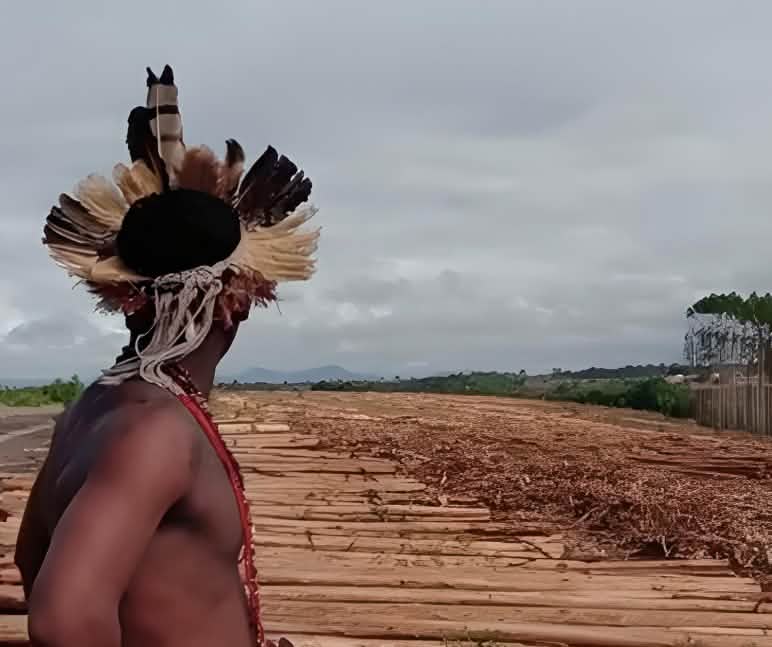 Die indigenen Pataxó in Brasilien kämpfen für die Rückgabe ihres von der Papier- und Zellstoffindustrie geraubten und mit Eukalyptus-Monokulturen bepflanzten Landes Indigener auf einer Eukalyptusplantage