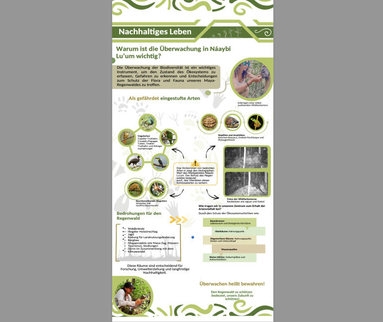 Infografik zur Artenvielfalt von Túumben K’óoben
